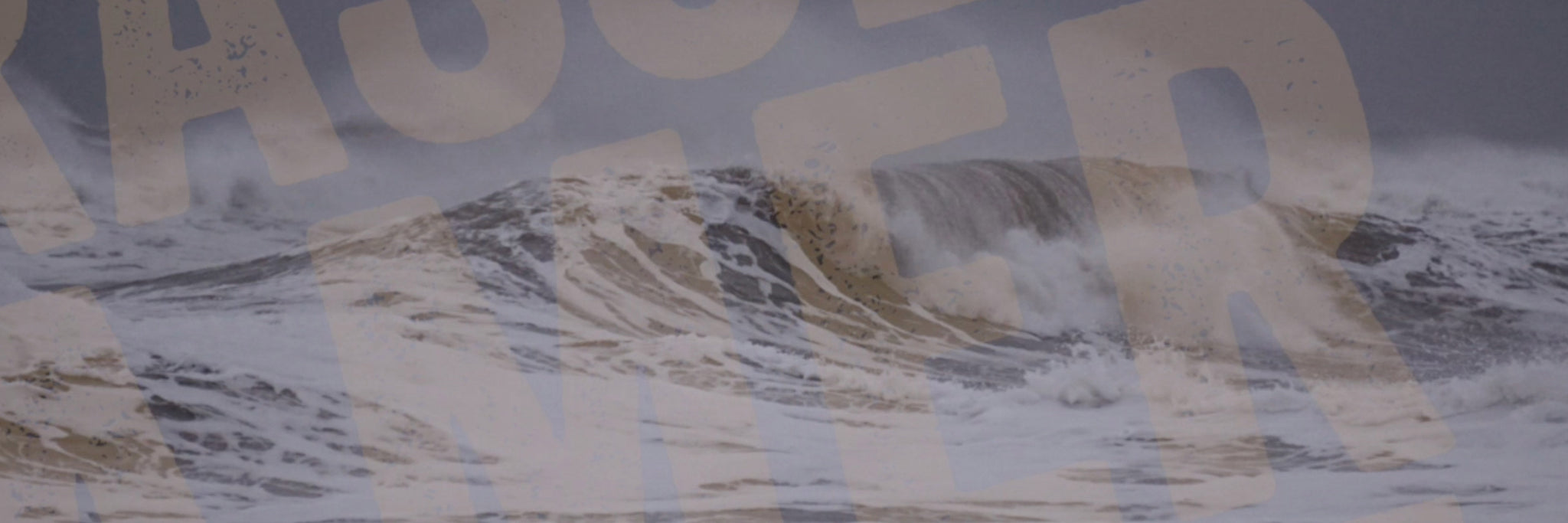 Dévoilement de la citation annuelle À l'abri de la Tempête